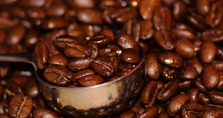 coffee beans sydney
