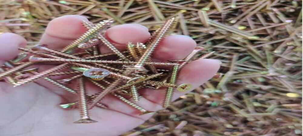 stainless steel screws