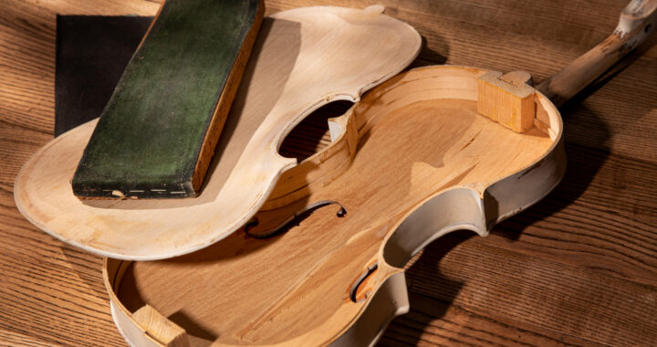 Guitar Bracewood